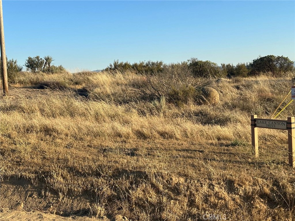 0 Lake Canyon Drive Property Photo 13