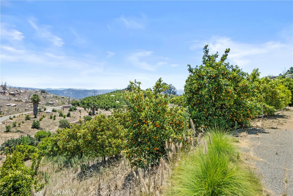 1252 Rancho Luiseno Property Photo 34