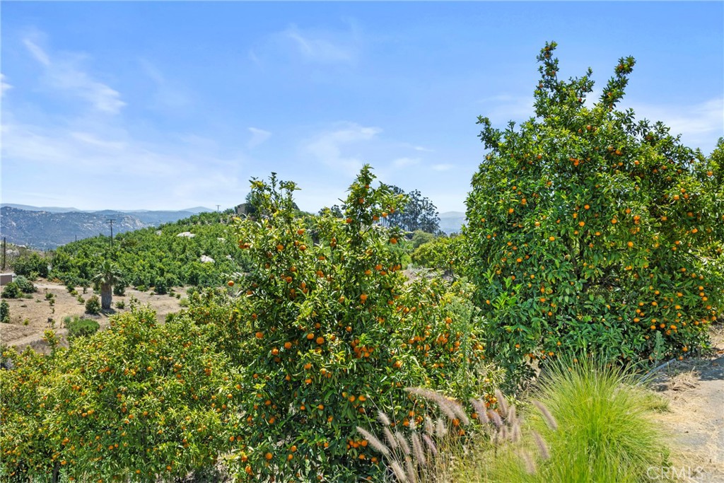 1252 Rancho Luiseno Property Photo 35