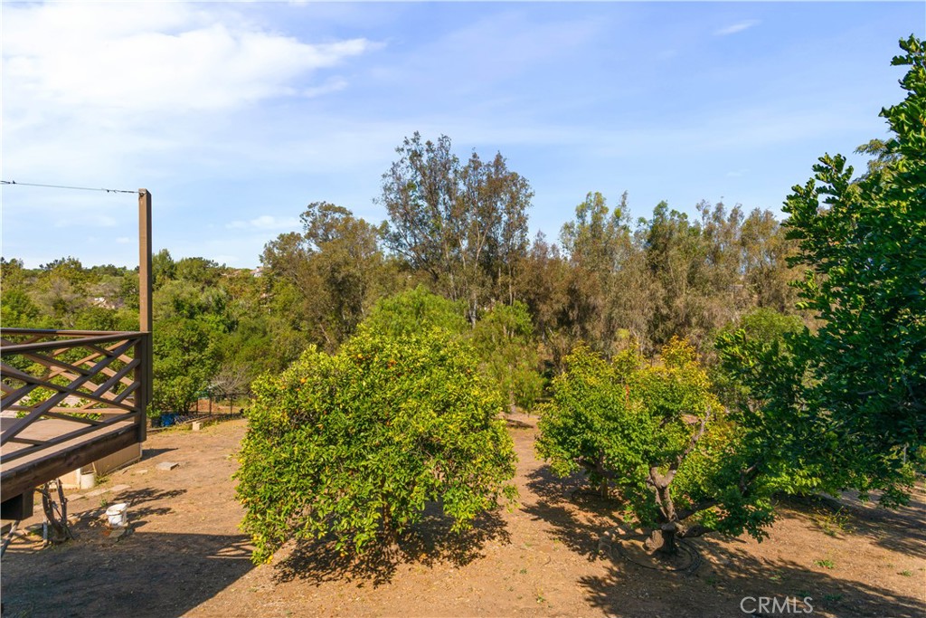 1691 Pepper Tree Property Photo 34