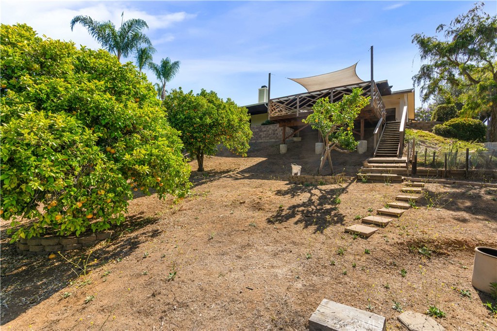 1691 Pepper Tree Property Photo 36