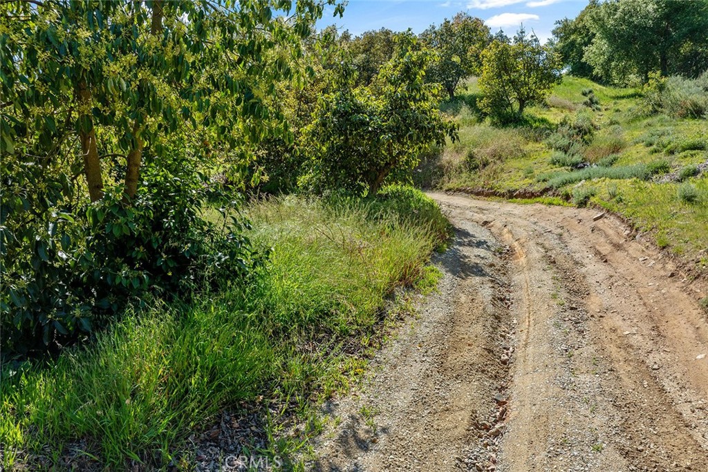 48825 Via Vaquero Property Photo 3