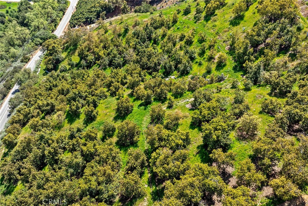 48825 Via Vaquero Property Photo 14