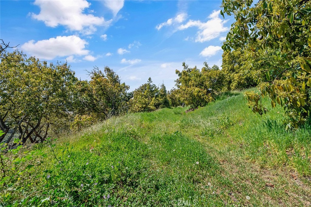 48825 Via Vaquero Property Photo 17