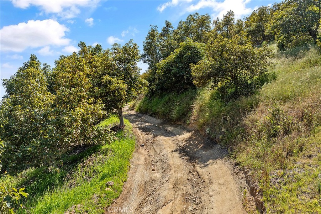 48825 Via Vaquero Property Photo 19