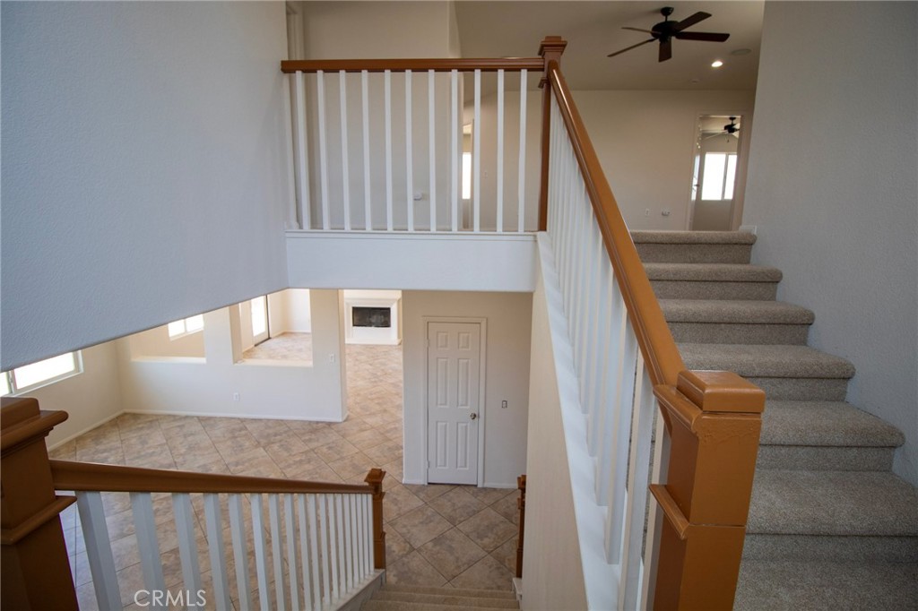 702 Suncup Circle Property Photo 16