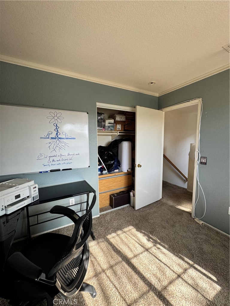39536 Sarah Drive Property Photo 13