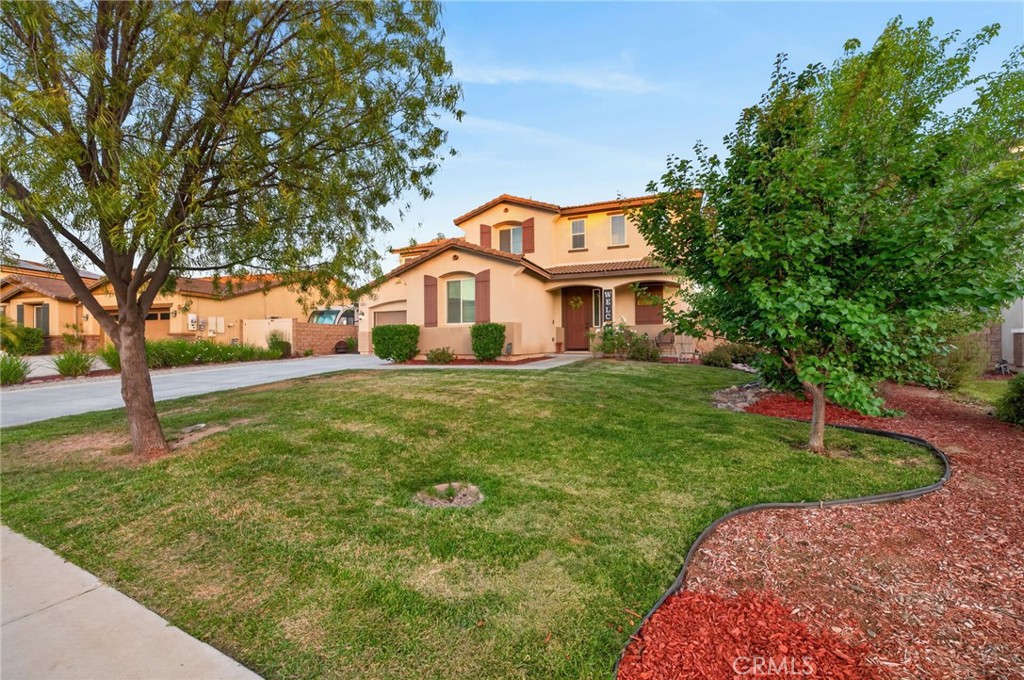 31247 Pinon Pine Property Photo 6