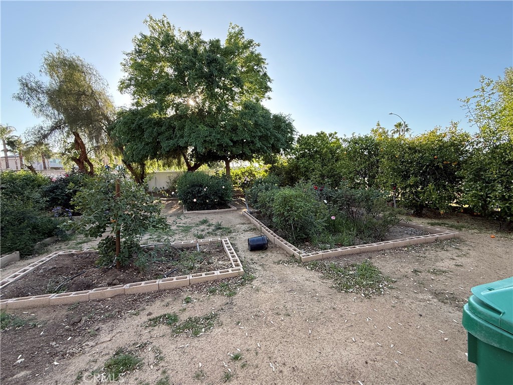 26825 Lazy Creek Rd Property Photo 22