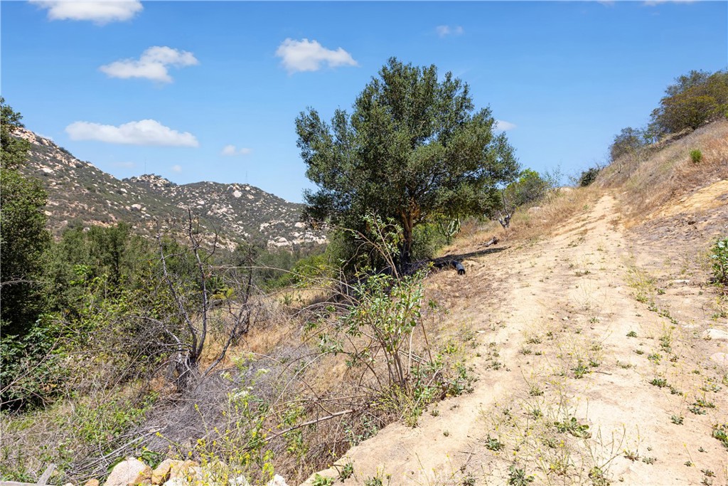 39018 Jubilee Property Photo 32