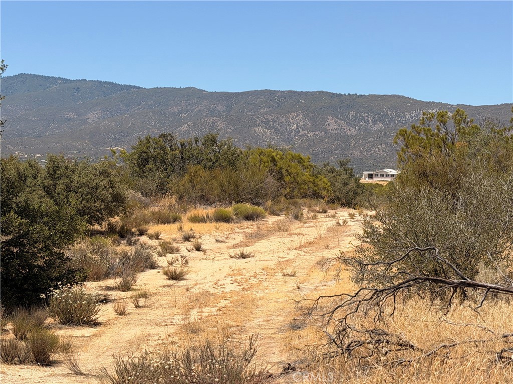 90002 Wellman Property Photo 4