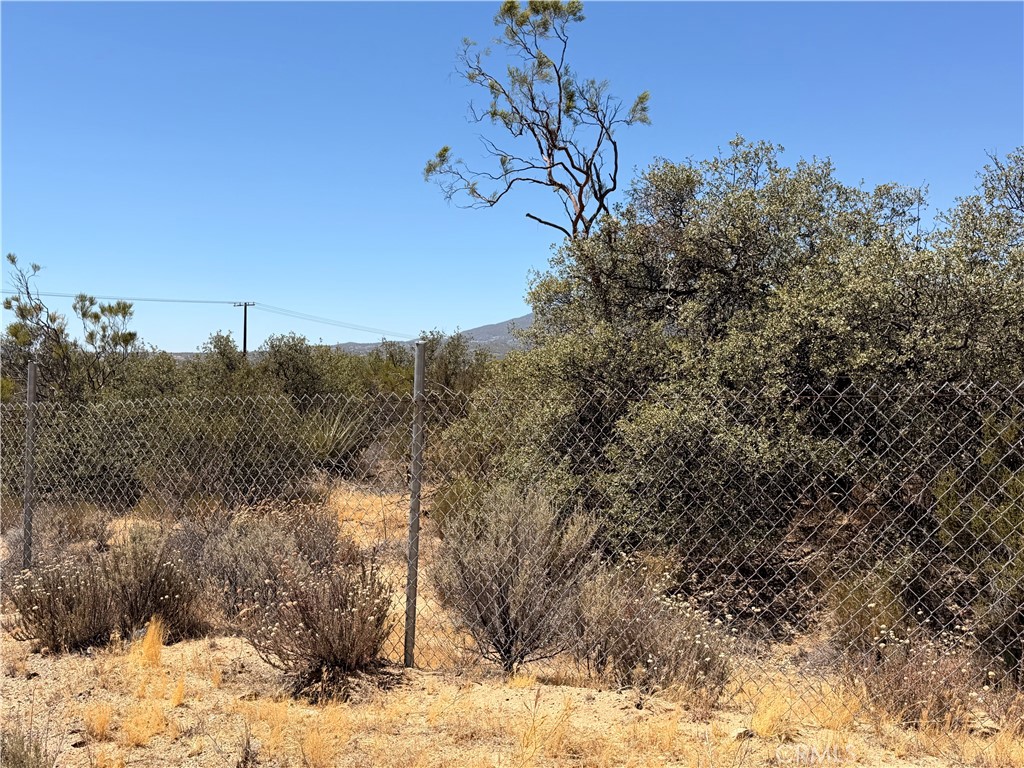 90002 Wellman Property Photo 5