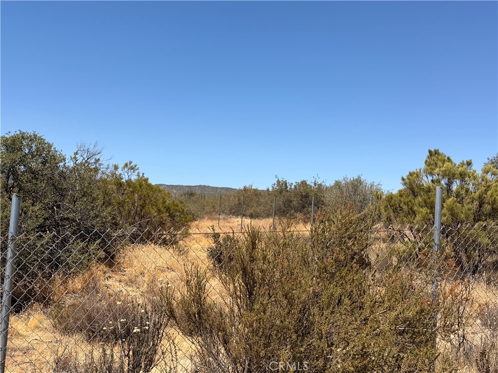 90002 Wellman Property Photo 6