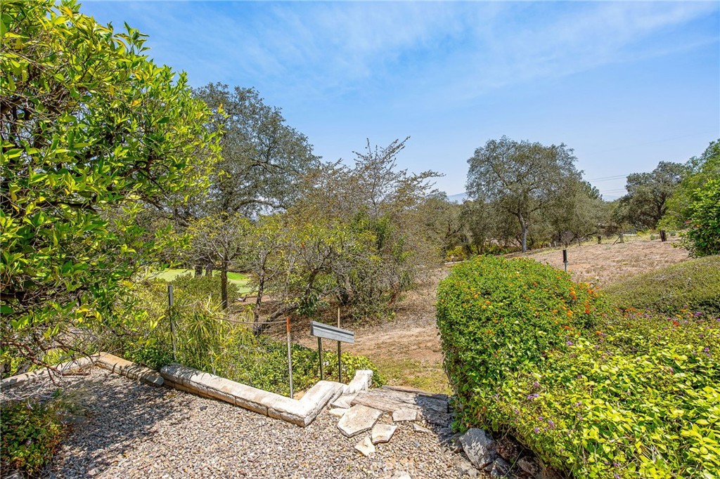 10960 Treeside Lane Property Photo 39