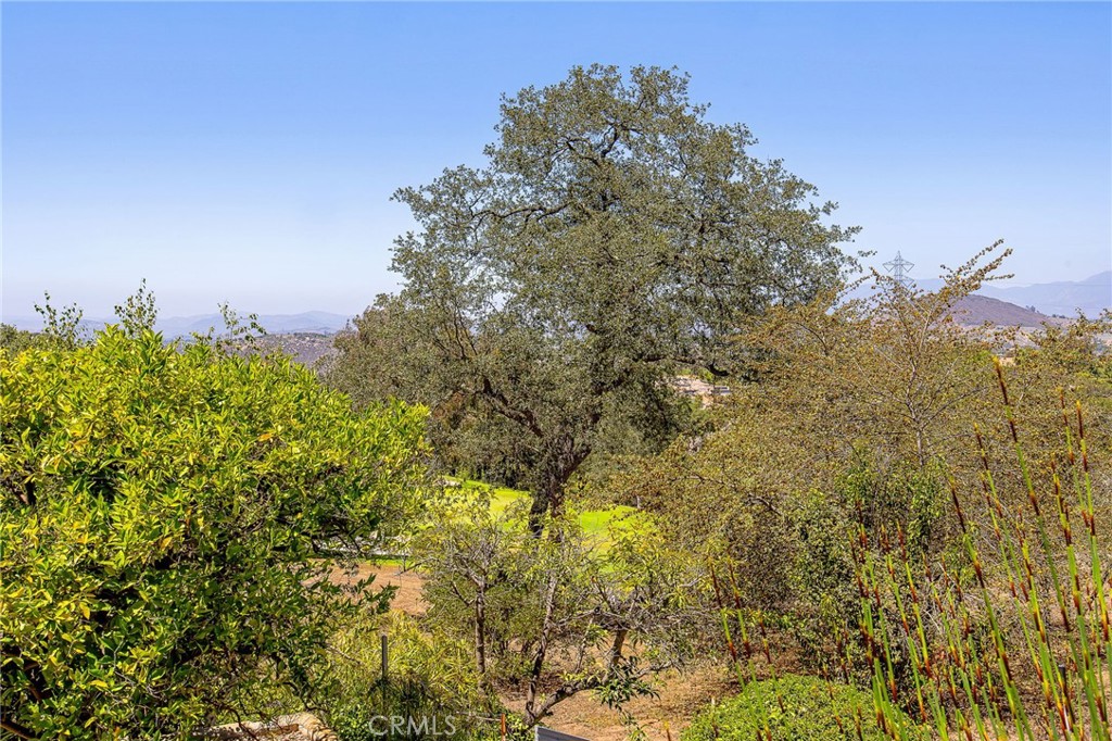 10960 Treeside Lane Property Photo 43
