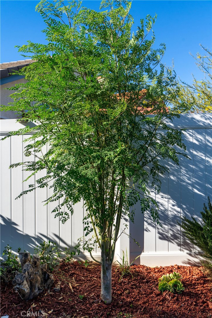 30780 Loma Linda Property Photo 29