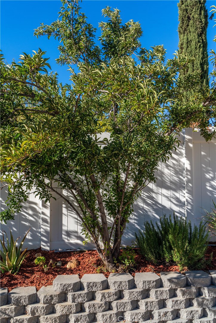 30780 Loma Linda Property Photo 34