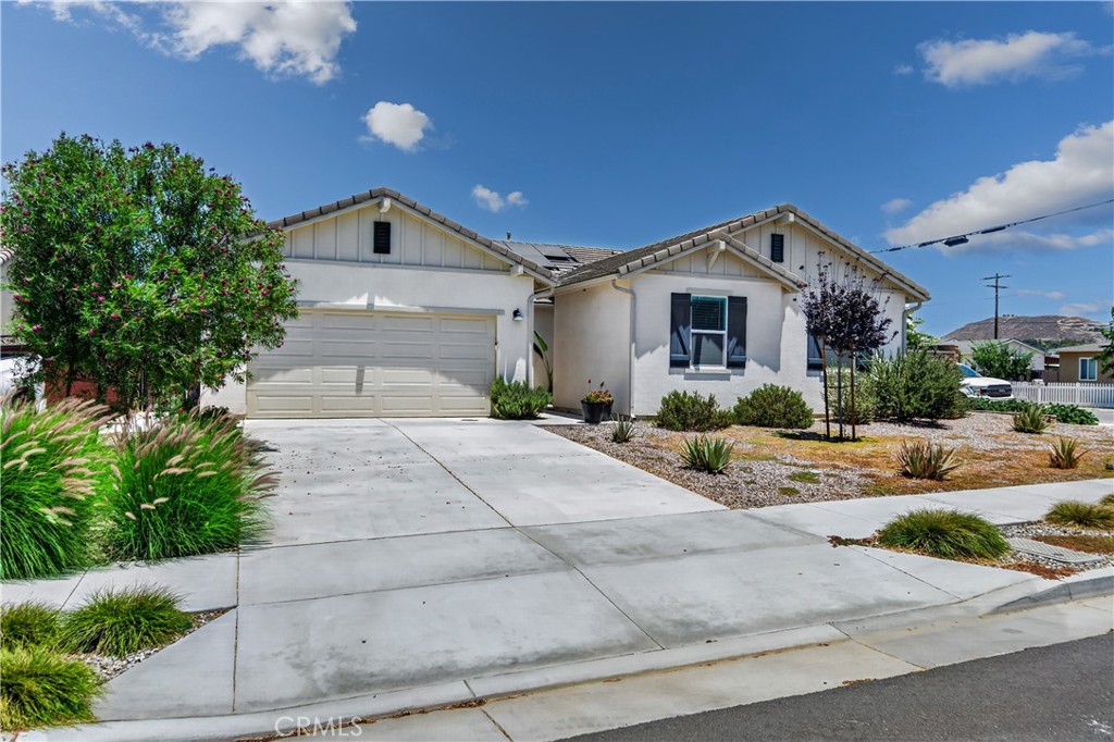 9019 Black Thorn Street Property Photo 45
