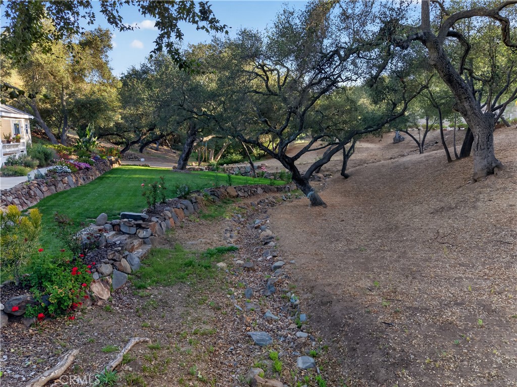 26955 Corte Cristal Property Photo 54