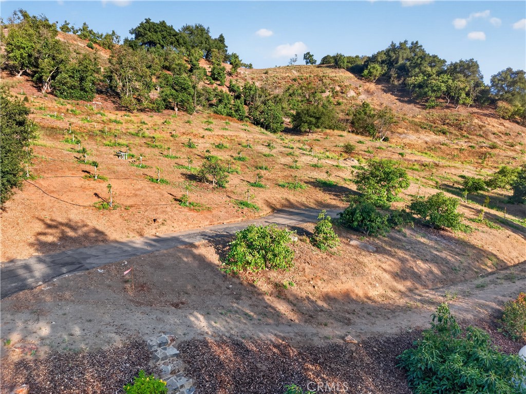 26955 Corte Cristal Property Photo 59