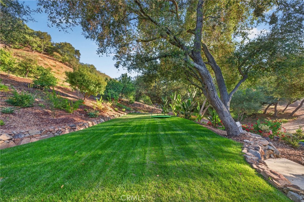 26955 Corte Cristal Property Photo 63