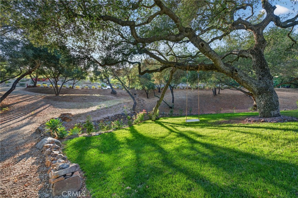 26955 Corte Cristal Property Photo 64