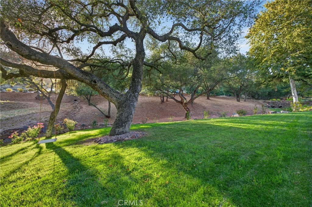 26955 Corte Cristal Property Photo 65