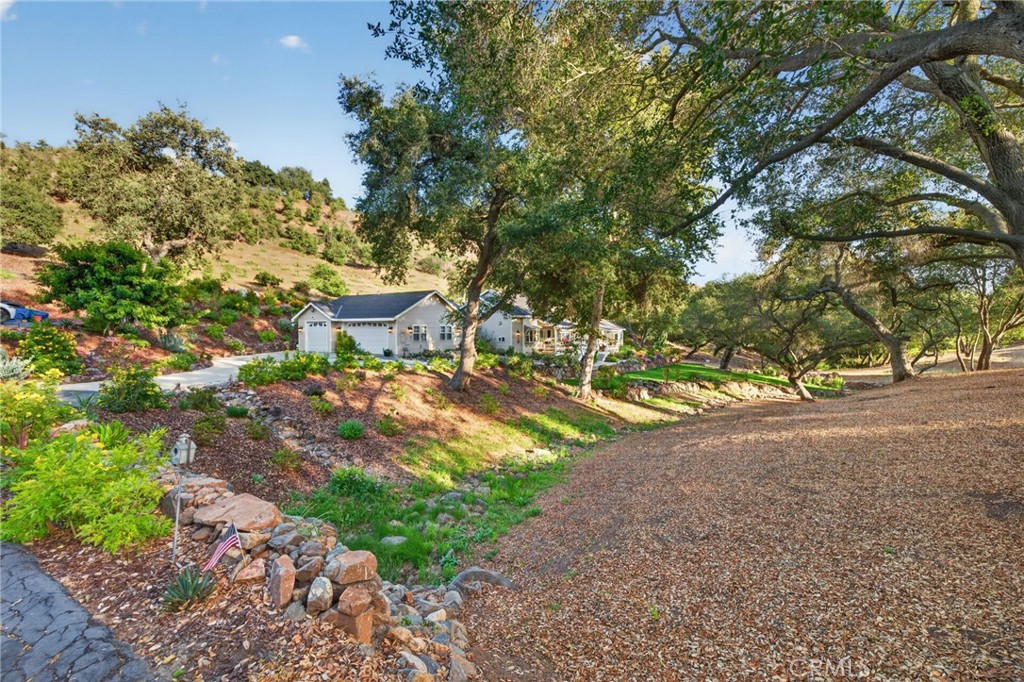 26955 Corte Cristal Property Photo 67