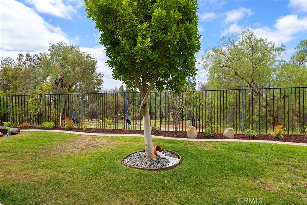29533 Branwin Street Property Photo 58