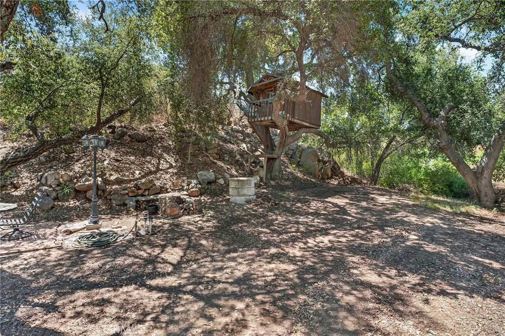 33465 Wild Lilac Property Photo 68