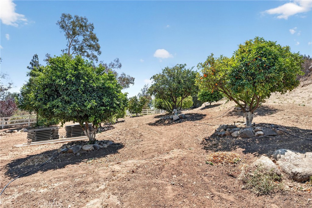 33465 Wild Lilac Property Photo 70