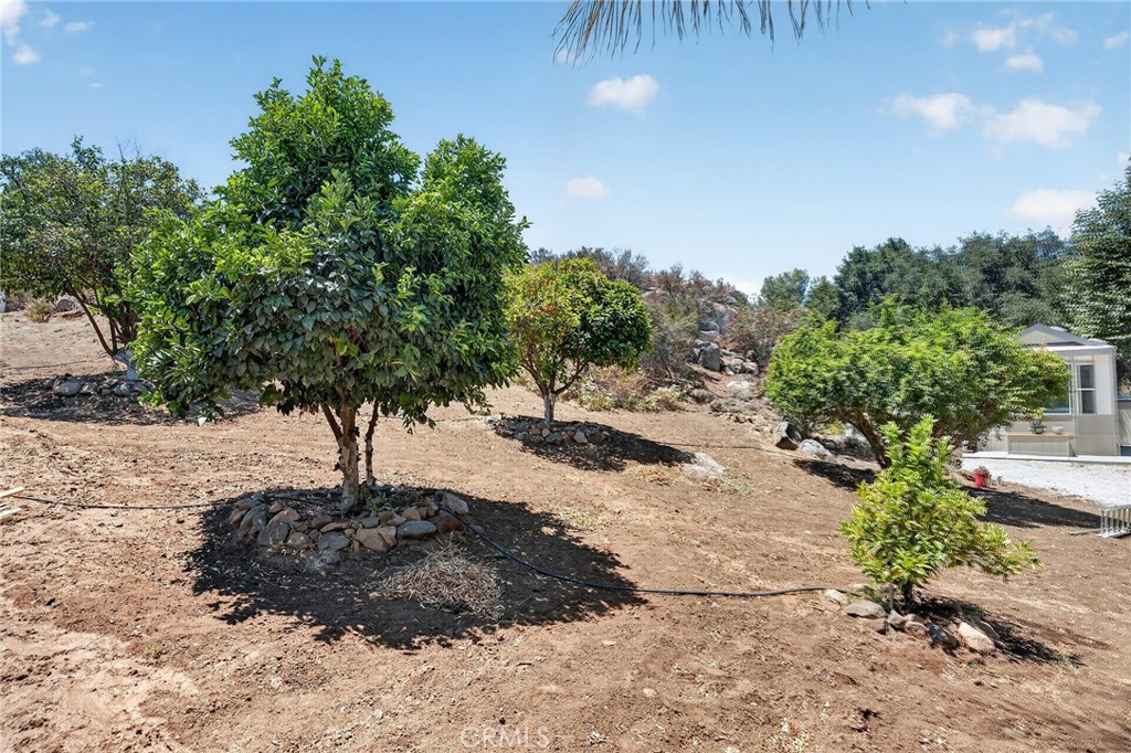 33465 Wild Lilac Property Photo 71