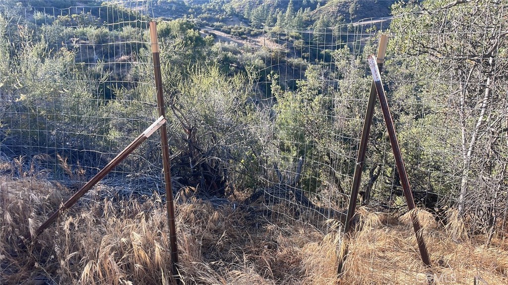 60380 Burnt Valley Property Photo 7