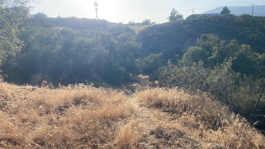 60380 Burnt Valley Property Photo 12