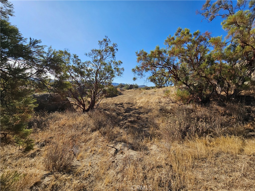 403 Lot On Lakeshore Boulevard Property Photo 18