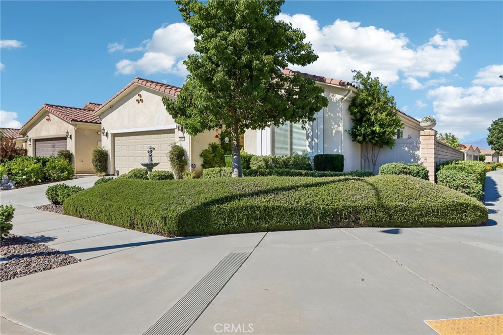 1450 Corte Alamonte Property Photo 2