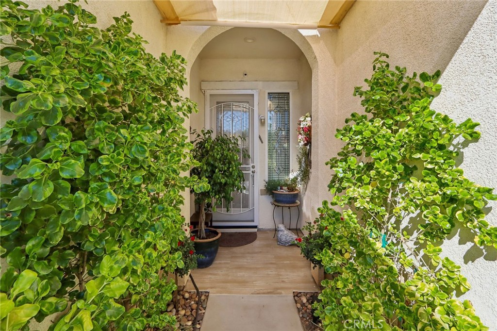 1450 Corte Alamonte Property Photo 4