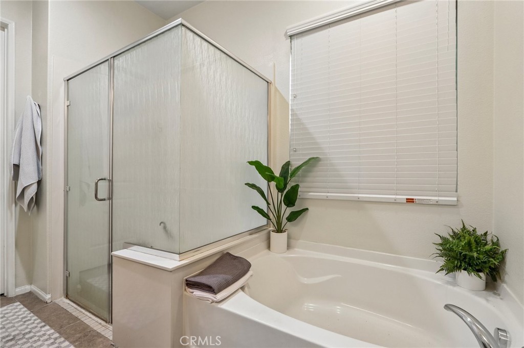 1450 Corte Alamonte Property Photo 22