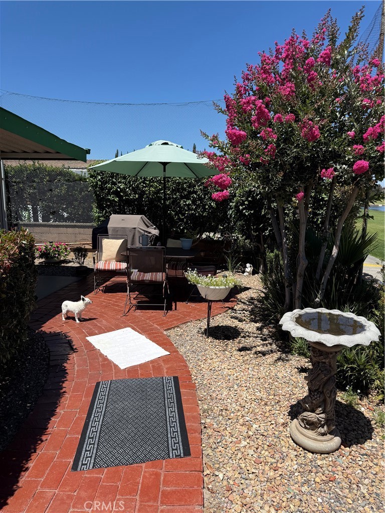 10564 Frontier Property Photo 49