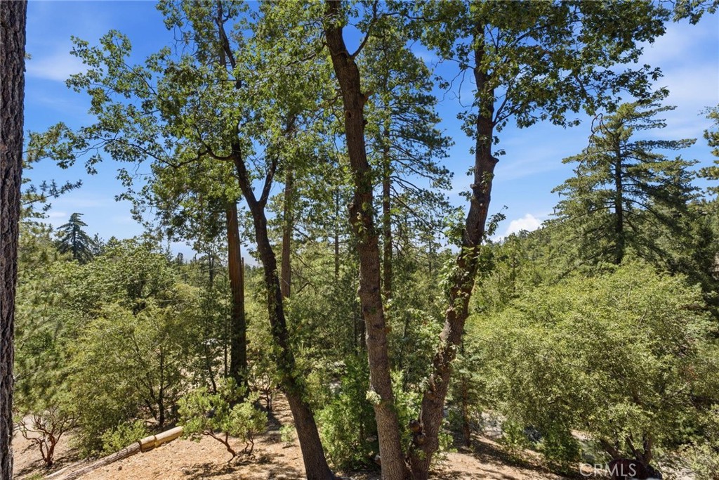 24759 Schaffer Drive Property Photo 33