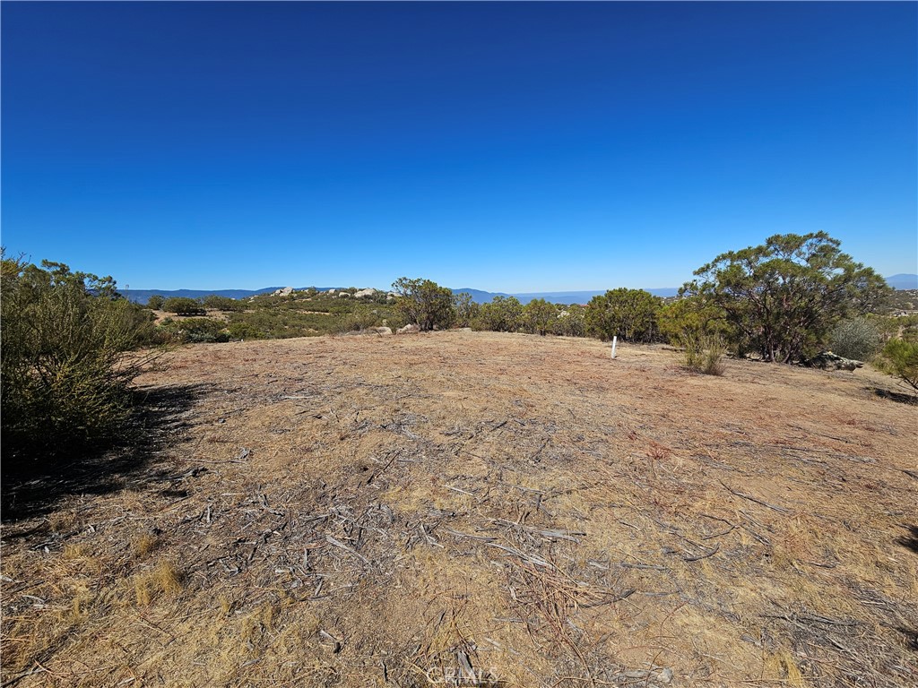 717 Arroyo Way Property Photo 1