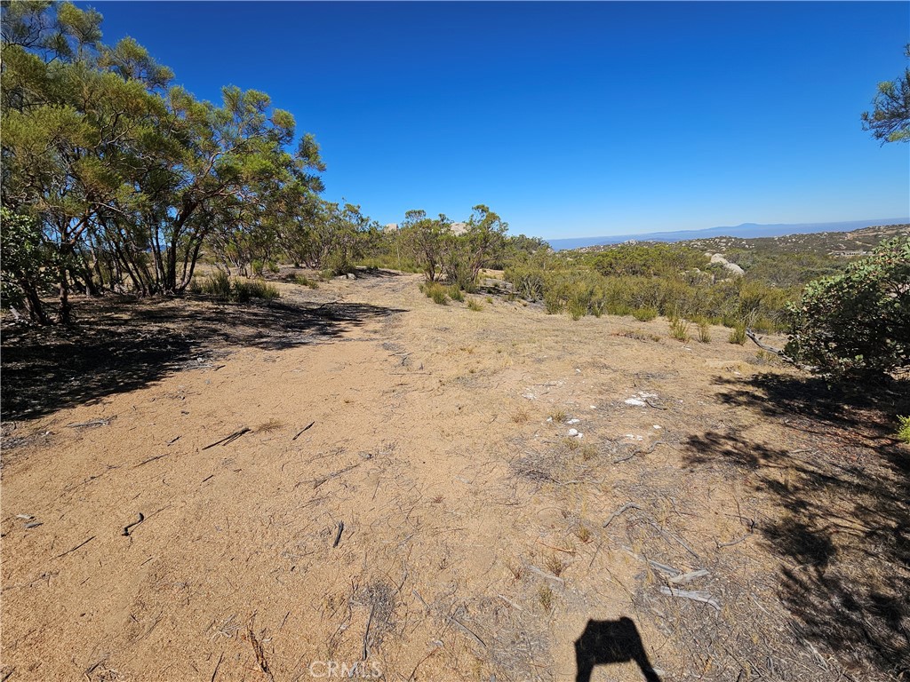 717 Arroyo Way Property Photo 8