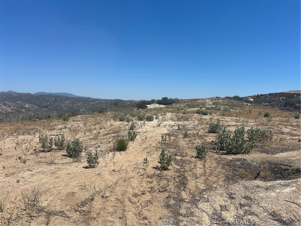 33445 Chameleon Road Property Photo 5