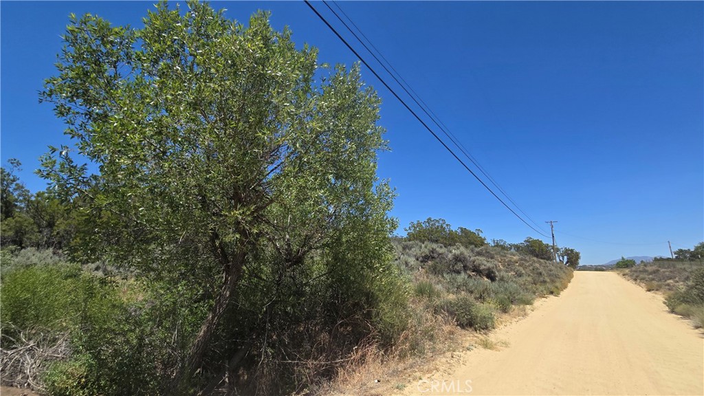 38375 Indian Road Property Photo 1