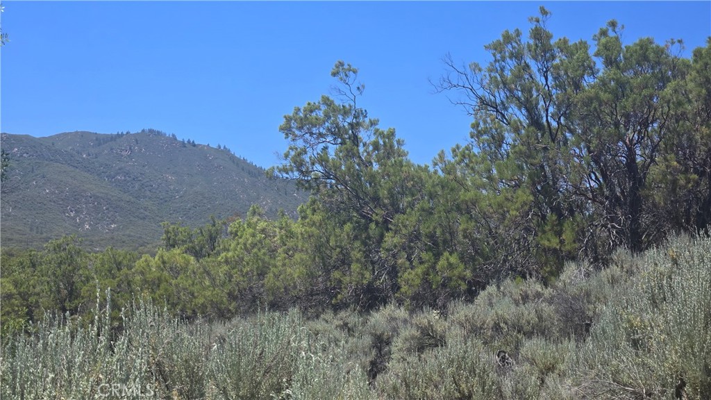 38375 Indian Road Property Photo 2