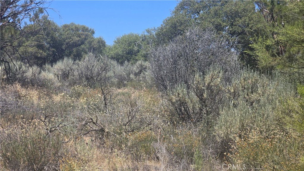 38375 Indian Road Property Photo 3