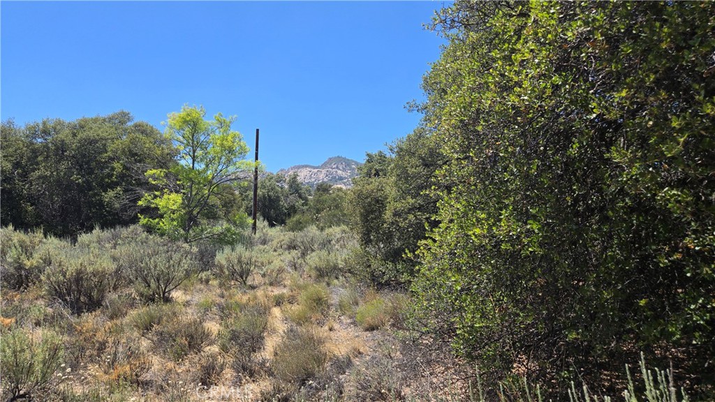 38375 Indian Road Property Photo 4