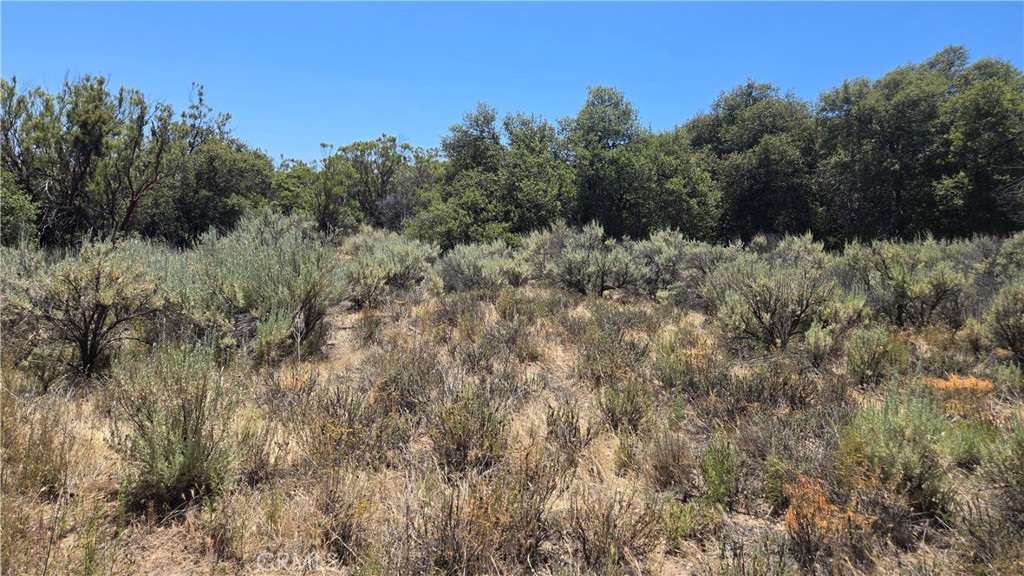 38375 Indian Road Property Photo 6