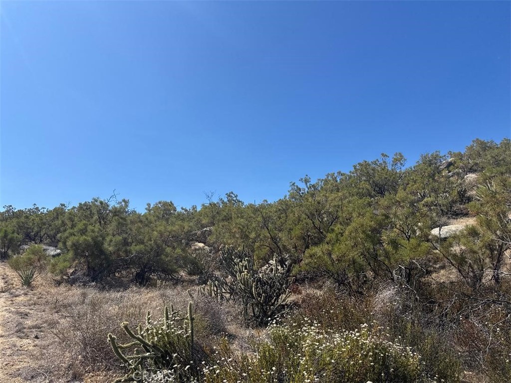 0 Shortcut Trail Property Photo 5