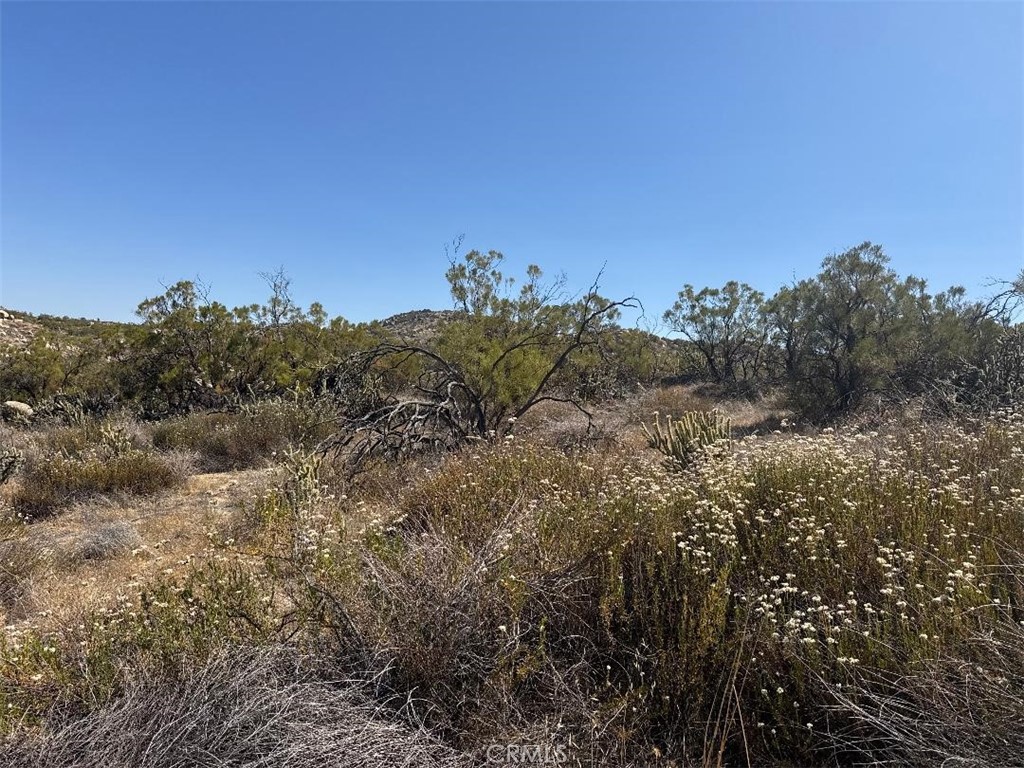 0 Shortcut Trail Property Photo 9